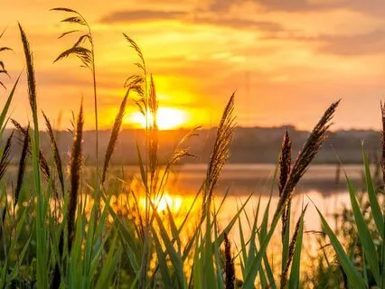 Steady Ground, Spacious Sky