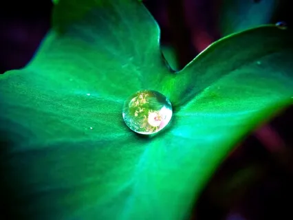 Steady Mind: Breath Concentration