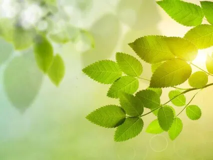 Steady Now: A Soothing 5-Minute Reset For Anxiety