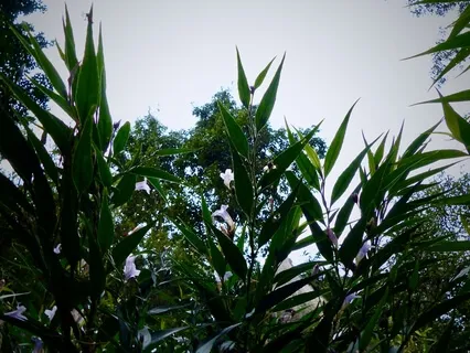 Steady Rain In November