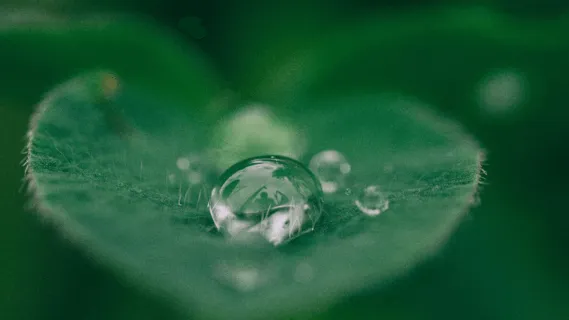 Steady, Renew & Energize Yourself  - 10 Minute Daily Insight