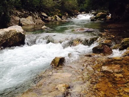 Steady River For Anxiety Relief: Natural Sound Therapy