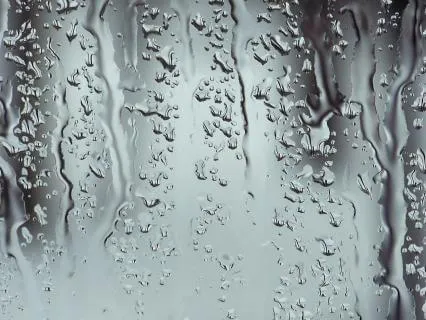 Steady Shower Sounds – 30 Minutes of Relaxing Water Noise