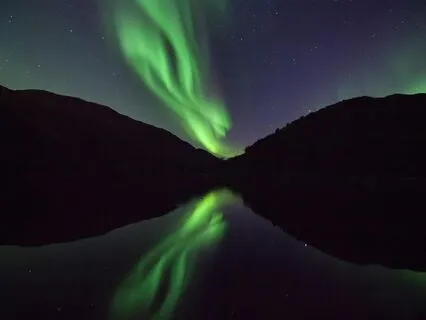 Steady Sound Sleep Aid