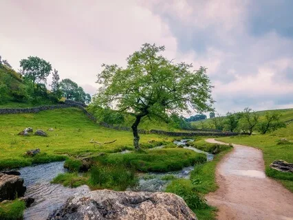 Steady Stream For Calm & Relaxation