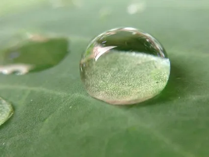 Steady Through The Storm: A January Reflection On Resilience