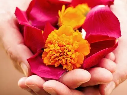 Stealth Kindness: Build Strength And Clarity With Generosity