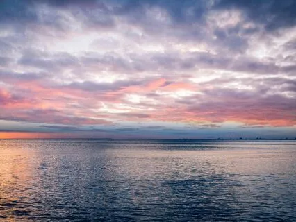 Steel Tongue Drum in the Morning