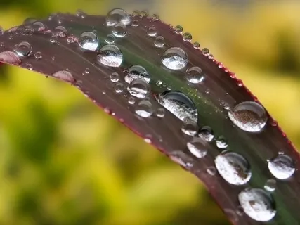 Stellar Navigation - Binaural Beat Theta