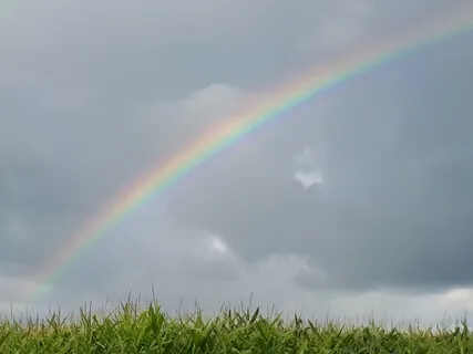 Stell' dir vor - Eine Fantasiereise