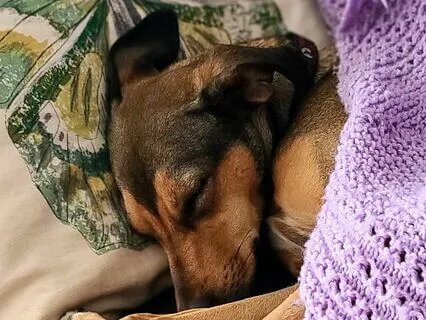 Fall Asleep With Stella: Welcome Home, Stella