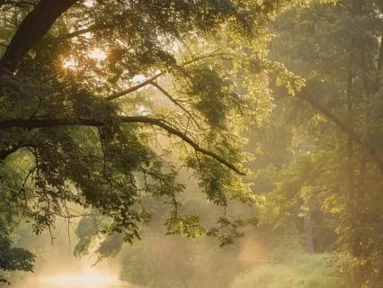 Step 1: Letting Go – A 12-Step Recovery Meditation