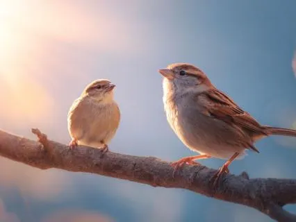 Step 5: Restored In Truth — A 12 Step Recovery Meditation