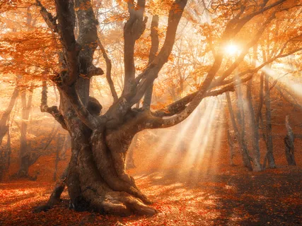 Step 6 - Meditation For Addiction Recovery