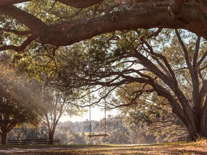 Step 7- Meditation For Addiction Recovery