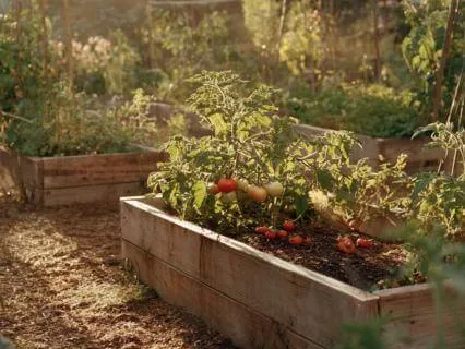 Step 8: Reviewing The Past — A 12 Step Recovery Meditation