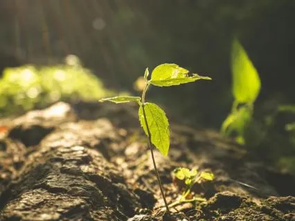 Step 9: Restoring — A 12 Step Recovery Meditation