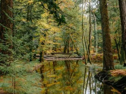 Step Back From Your Thoughts: Calm Overthinking & Find Peace