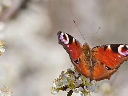 Step Beyond Fear: Build Confidence And Trust