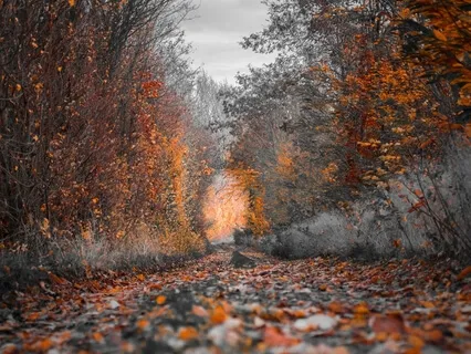 Step By Step (Long Version)