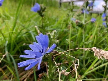 Step By Step - Two Sisters Reflect On The Joy Of Walking