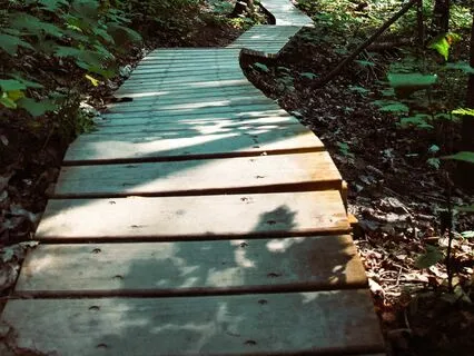 Step By Step - Walking Meditation