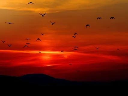 Step Into The Fire- A Meditation For Transformation