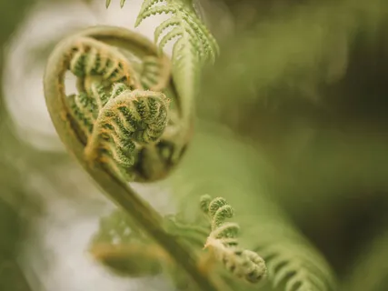 Step Into The Moreness That Is The Real You