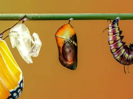 Step Into The New You EFT/TFT Tapping Meditation