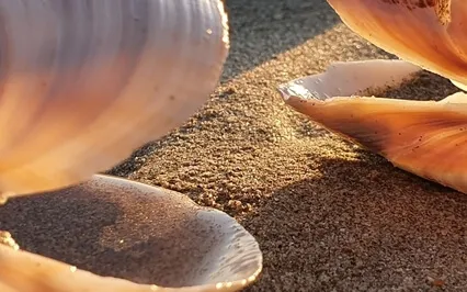 Step Into Your Being As A Healer