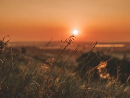 Step Into Your Next Chapter: A New Beginning