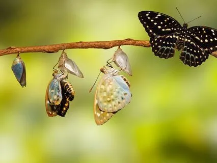 Step Into Your Unlimited Potential - Beyond Imagination