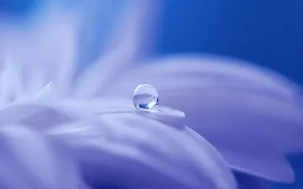 Step #1 ~ The Teaching ~ How To Listen To Silence 