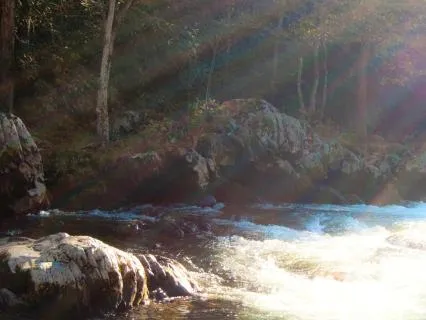 Step Out Of The Current | A 2-Minute Ma Meditation