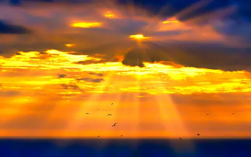 Stephen Melillo, Interview & Premiere Of, Love Conquers All