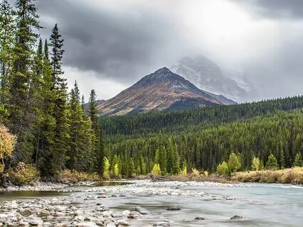 Stepping Away To Step Back In