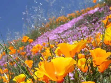 Stepping Beyond Fear - Falling Into Love