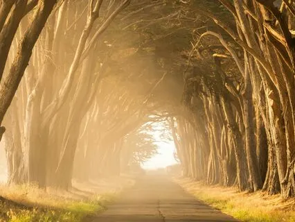 Stepping Beyond Shame Into The Light