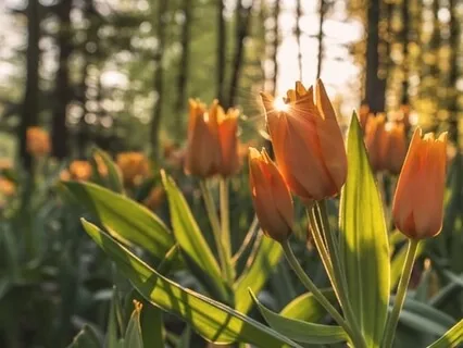 Stepping Into A Lean, Healthy Body