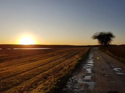 Stepping Into Point Consciousness