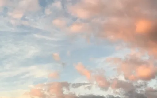 Stepping Into Softness