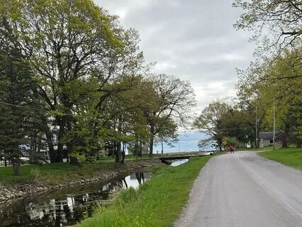 Stepping Into The Flow, Accepting All That Is