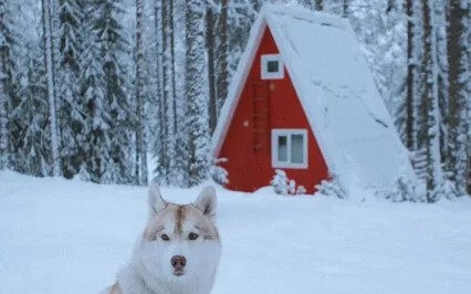 Stepping Into The Holidays With CPTSD - Trauma Sensitive.