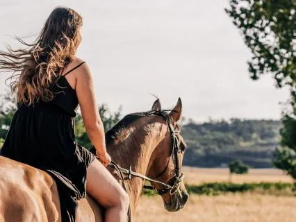 Stepping Into The Year Of Horse With Clarity