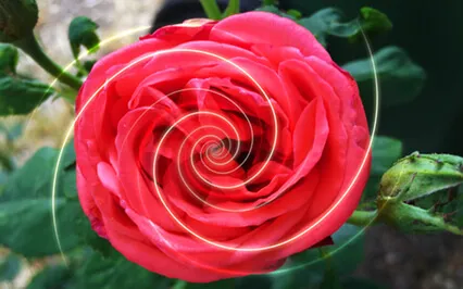 Stepping Into Your Best Self Meditation