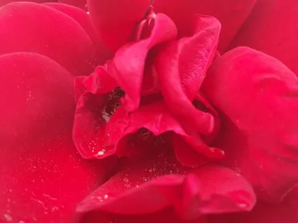 Stepping Into Your Creative Moment