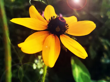 Stepping Into Your Power 