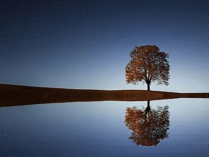 Stepping Off the Treadmill To Catch Our Breath