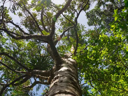 Stepping Out Of Automatic Pilot: A Quick Body Scan