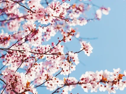 Stepping Through The Mirror Of Reality